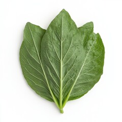 Obraz premium Fresh green collard greens with vibrant leaves on a white background.