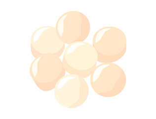 帆立の貝柱のイラスト