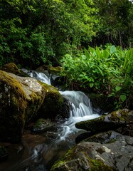 Cascading waterfall in a mossy forest