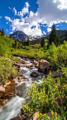 Mountain Stream in Sunny Meadow.