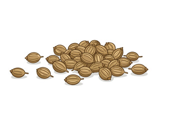 A pile of brown ribbed coriander seeds scattered on a white surface