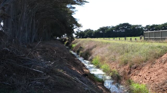 Drainage channel with standing water and vegetation in farmland at Werribee South, Victoria, Australia, beside shelterbelt trees and rural fence. Concept of irrigation, stormwater management