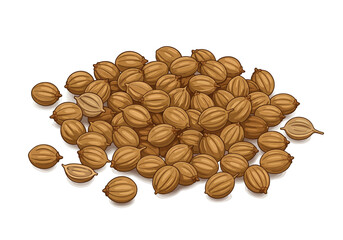 Clustered brown coriander seeds with grooved textures some halved or isolated
