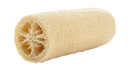 Natural loofah sponge for exfoliation and cleaning