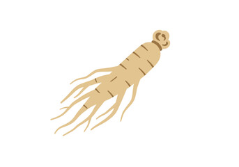 Ginseng root with rootlets and horizontal lines on body