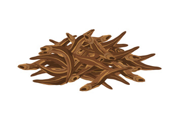 Obraz premium Pile of brown anchovies