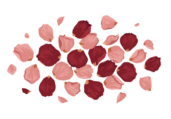 Scattered rose petals a mix of light pink and dark red on a white background