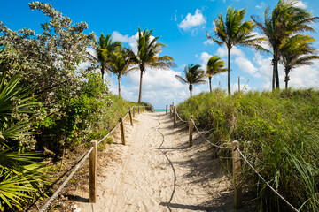 Miami Beach along Ocean Drive
