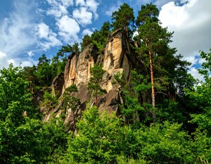 Rocky outcrop in a forest