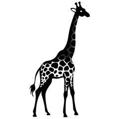 Naklejka premium giraffe silhouette 