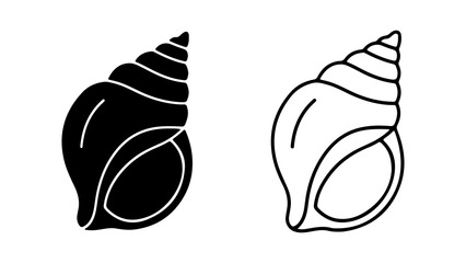 Seashell illustrations black and white line art.