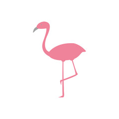 Pink flamingo standing on one leg isolated on white background illustration