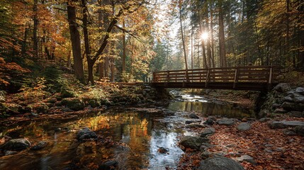 Scenic wooden bridge over a calm stream amidst vibrant autumn foliage and sunlight breaking through the forest canopy. High quality