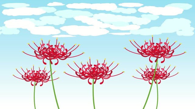 晴れの日に彼岸花が風で揺れるアニメーション