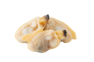 透明背景（png）にアサリのむき身（水煮）