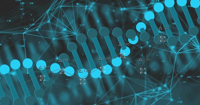Dark blue network pulsating, sphere array forming rotating DNA helix sliding upward toward center