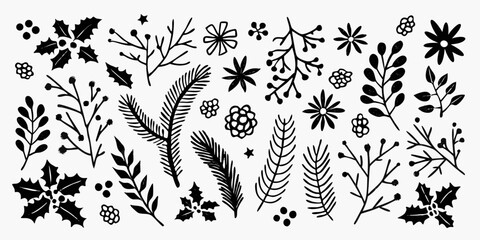 Collection of hand drawn black christmas botanical elements and winter foliage on white background © Rathin