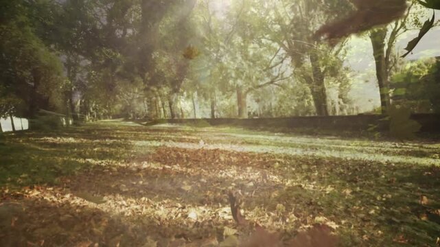 gentle breeze releasing falling leaves, swirling then settling across sunlit path for autumn scene