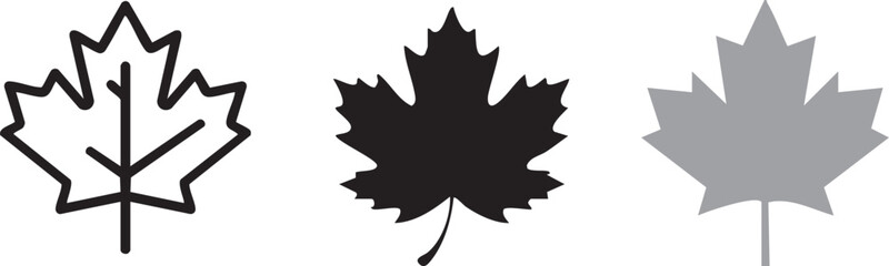 A Set of Maple Leaf Icons Outlines, Silhouettes