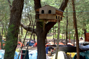 bird house on a tree