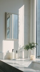 Bright minimal bathroom sink with mirror and green plant