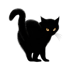 Black cat with arched back and glowing orange eyes, detailed fur texture, isolated on white background, studio shot.

