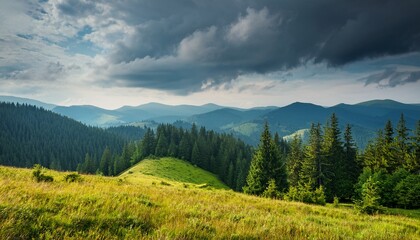 Countryside Landscape With Overcast Sky In Summer Forest On The Grassy Hill Cloudy Weather Forecast Remote Rural Scenery In Carpathian Mountains