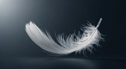 Obraz premium Graceful descent, ethereal lightness captured in the delicate dance of a single feather
