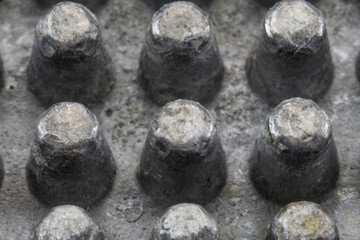 Macro of Spikes on Garlic Press Straight On