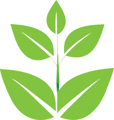 Vibrant green sprout symbolizing growth renewal life organic nature freshness natural ecology wellness healthy living