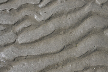 Abstract Grey sandy texture beach wet muddy