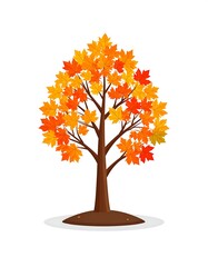 Autumn Maple Tree Illustration.
