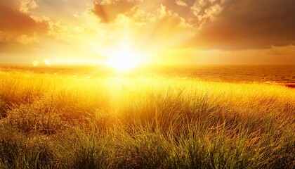 Hot Summer Background With Yellow Lens Flare