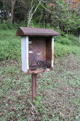 bird house in the forest