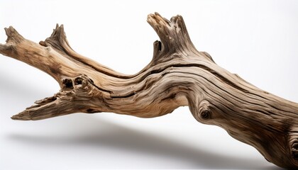Weathered Driftwood Branch On White Background