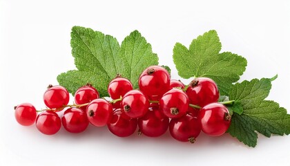 Fresh Red Currants With Green Leaves On A White Background