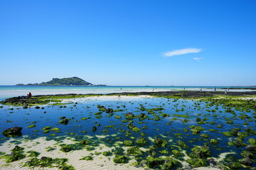 fine sea view with shoaling beach and mossy rocks