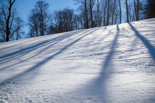 Sunny snow background with shades