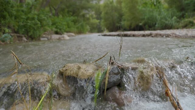 Shallow Stream Flowing Over Rocks in Queretaro Mexico 555