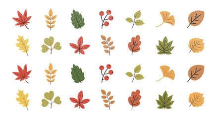 Autumn leaves set. Colorful flat icon and hand drawn doodle elements with crayon. Fall season various branches and foliage clipart set. Vector illustration. © Dear Lala