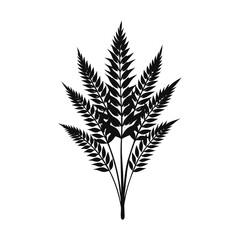 wheat ears isolated on white background