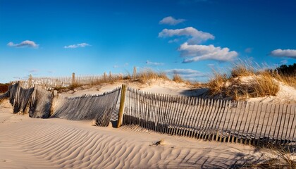 Winter Day Landscape Of Sand Fences In The Dunes Beneath A Sunny Blue Sky At Chapin Beach On Cape Cod Near Dennis Massachusetts