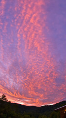 Sunset, beautiful rosy clouds, and the afterglow on the horizon