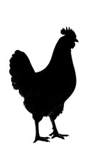 Silhouette of a rooster (1)