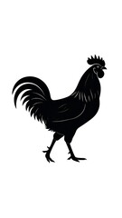 Silhouette of a rooster