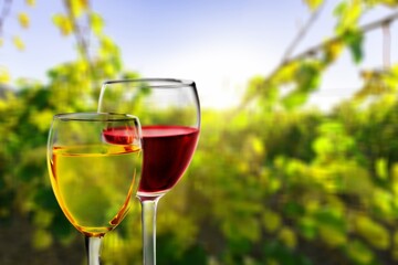 Tasting of red wine, glass on nature background