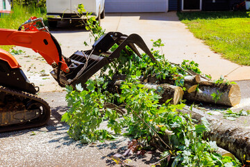 Construction tractor loader equipment is clearing away large tree branches in driveway © ungvar