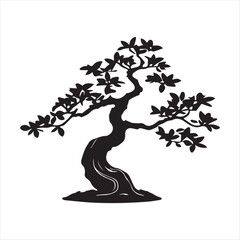 bonsai tree on white background