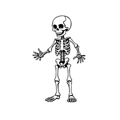 Humorous depiction of a cartoon skeleton standing cheerfully with a whimsical anatomical