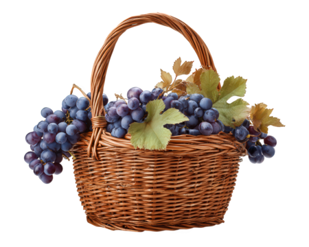 Bountiful brown wicker basket of ripe purple grape, fresh fruit and autumn leaf. healthy harvest element perfect for food design, isolated on transparent background